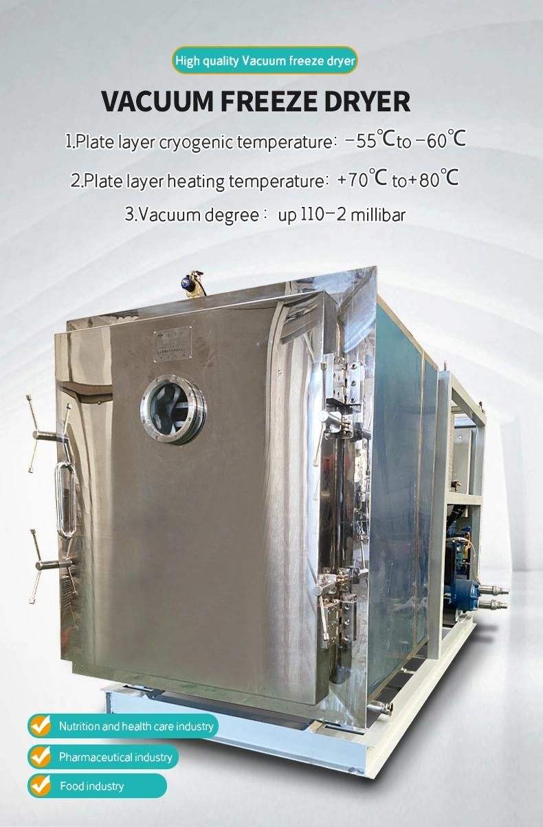 100m2 Fruit Vacuum Freeze Drying Machine Lyophilizer for Tremella Processing Industry