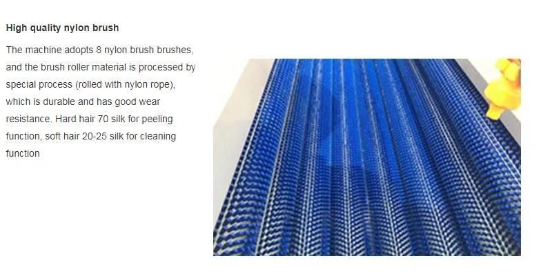 Brush Washing Peeling Polishing Machine for Vegetable and Fruit