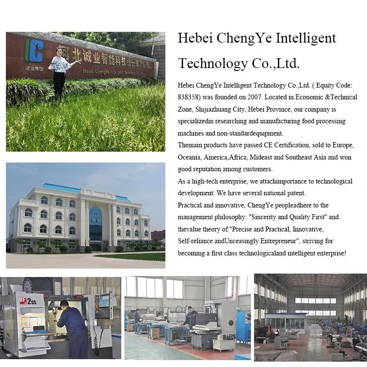 Meat Processing Machine Frozen Meat Dicer Cube Cutter for Central Kitchen Equipment