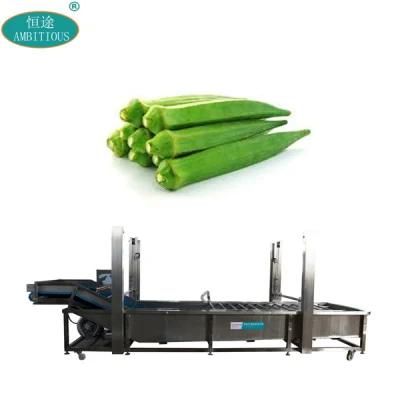 Washer Buble Vegetable Machine Okra Cleaning Machine