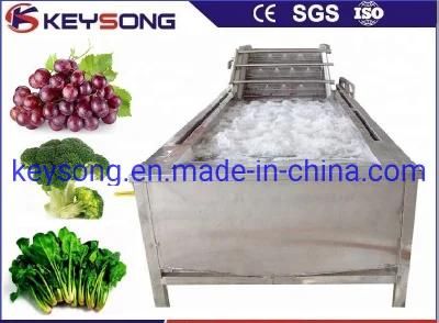 Stainless Steel Washer Food Processing Line Vegetable Washing Machinery