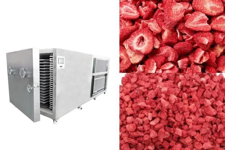 Vacuum Freeze Drying Lyophilizer Fruits Strawberry Vacuum Freeze Dryer