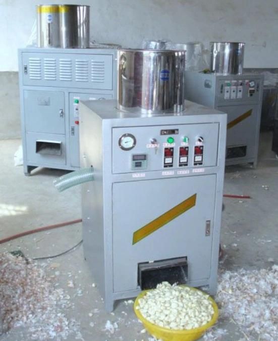 Dry Garlic Peeling Machine