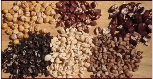 Dehydrating Vegetables Drying Machine