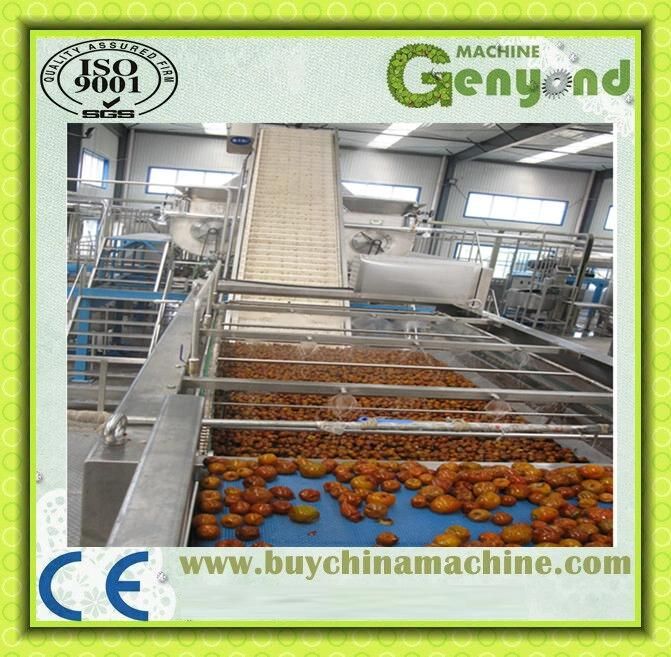 Hot Sale Date Syrup Plant (100-2000kg/Hour)
