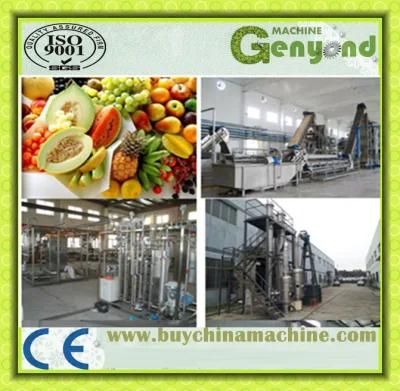 Automatic Fruit Juice Production Line