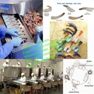 Tail-on Butterfly Shrimp Peeling Machine/ Shrimp Peeler/ Shrimp Processing Machine