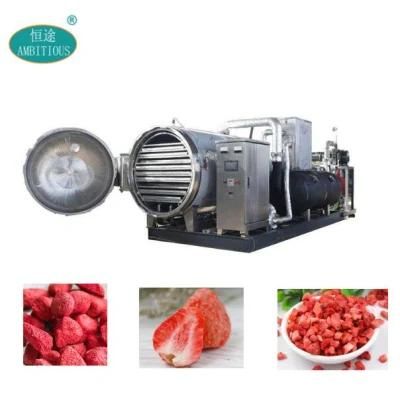 Vacuum Freeze Dryer, Strawberry Freeze Drying Machine