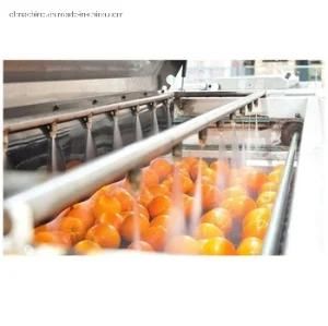 Beverage Application Automatic Fruit Cherry Sterilization Machine Production Line