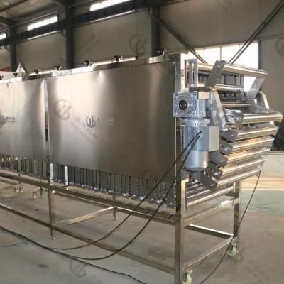 Automatic Artichoke Washing Waxing Size Sorting Line for Food Factory