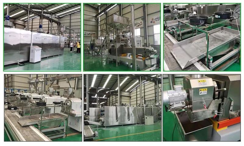 China Factory White Long Thin Rice Steam Cooked Reconstruction Process Line/Raw Basmati Artificial Rice Makes Extruder Machine