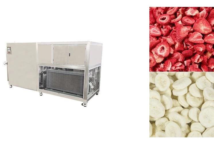 Vacuum Lyophilizer Price Dried Fruit Freeze Drying Machine Vacuum Freeze Dryer