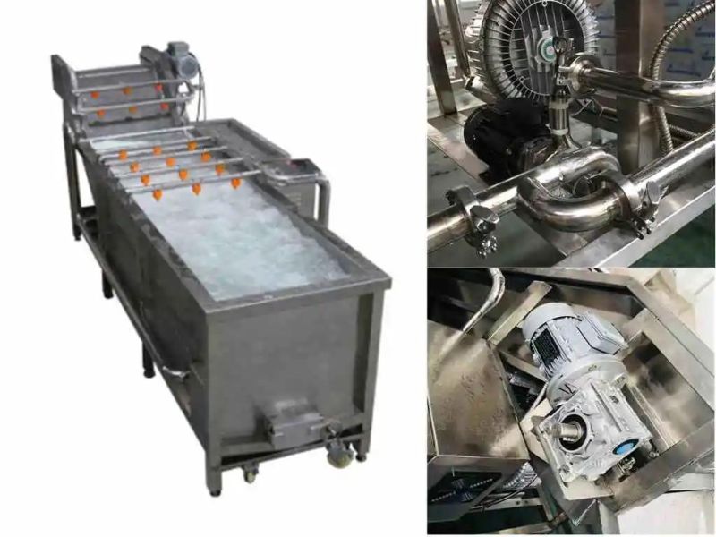 Industrial Automatic Leaf Vegetable Bean Water Air Bubble Brush Washer Machine