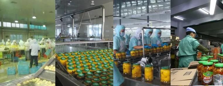 Pasteurizatiing Steam Tunnel Bottle Pasteurization Automatic Pickles Pasteurizer Machine