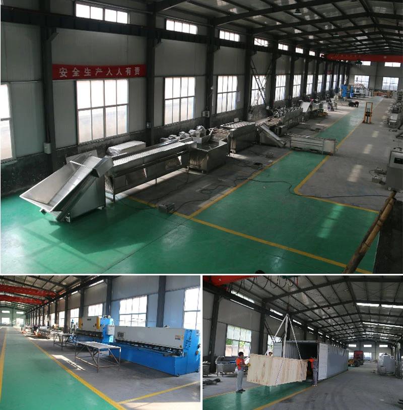 Chinese Suppliers Stainless Steel Automatic Vegetable and Fruit Washing Machine