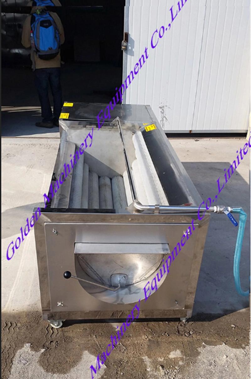 Stainless Steel China Brush Fish Scale Washing Peeling Cleaning Machine