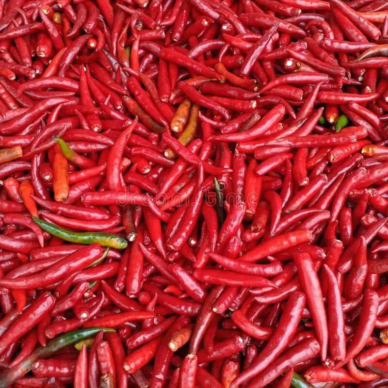 Vegetable Dehydration Machinery Red Chilli Drying Machine