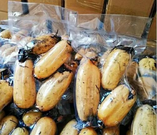 Preserved Food Fruit Vegetables Vacuum Packing Machine