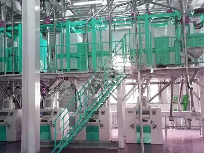 Beans Garbanzo Lentil Peeling Machine Pea Splitting Into Flour Milling Line Processing and Packaging Ghana