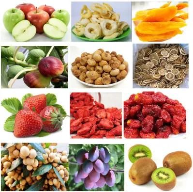 Hot Sale Vegetable Fruit Dry Dehydrator Food Machine
