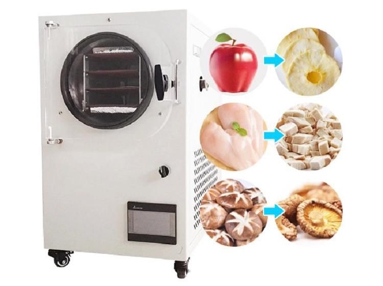 Full Automatic Fd-10 Lyophilization Machine Fruit and Vegetable Lyophilizer/Freeze Dryer