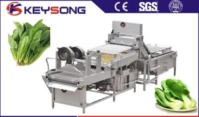 Hot Sale Fruit and Vegetable Washing Machine Air Bubble Washing Machine