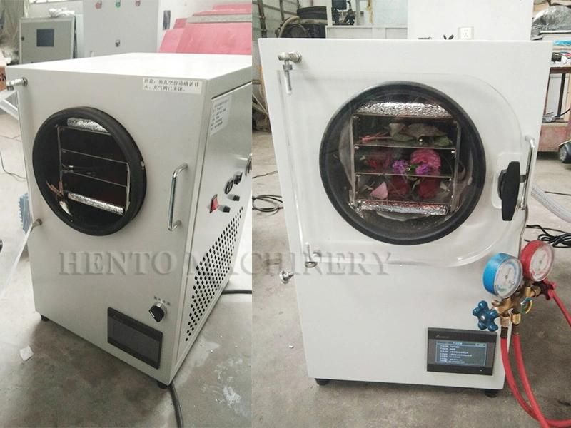 New Type Industrial Freeze Dryer For Top Sale