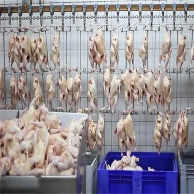 Factory Sale 500-10000bph Chicken Slaughtering Equipment Line