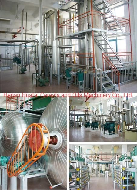 Rice Bran Oil Extraction Machine Price