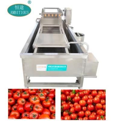 Tomato Washing Machine Tomatoes Spray Washing Machine