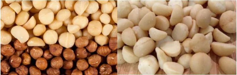 Macadamia Nuts Cooling Equipment After Baking