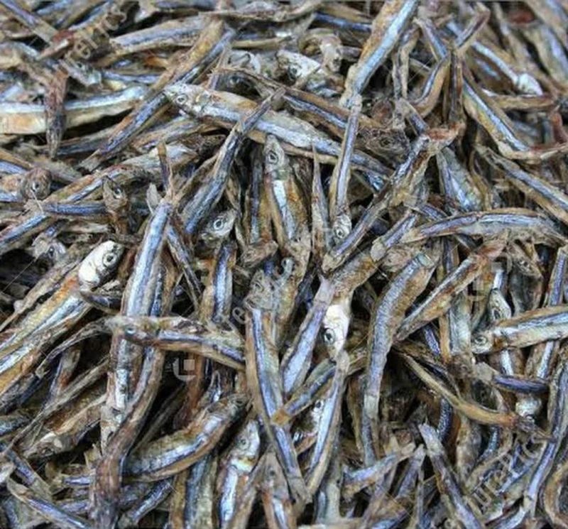 Seafood Freeze Drying Machine Fish Food Lyophilizer Machine