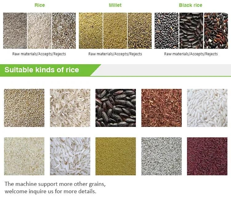 Paddy Seed Cleaner and Grader Rice Seed Cleaner