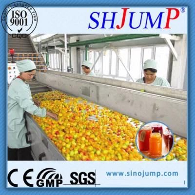 Loquat Juice and Loquat Syrup Production Machinery Export Worldwide