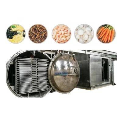 Cranberry Drying Equipment Vacuum Freeze Dryer Stainless Steel