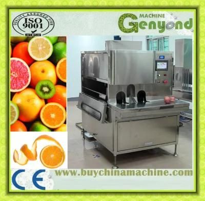 Apple Slicing /Dicing/ Cutting Machine