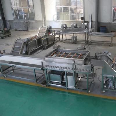 Industrial Kiwi Apple Tomato Washing Cutting Dehydrating Line for Factory