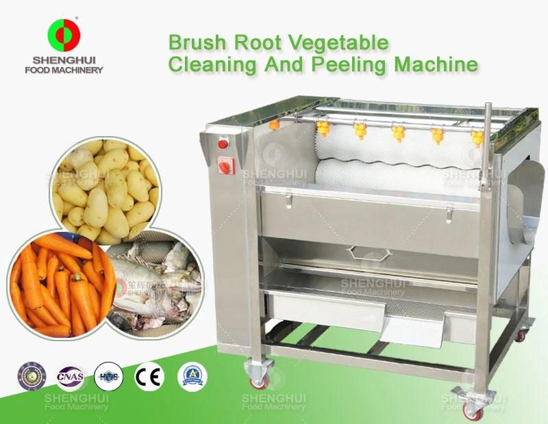 Brush Fruit Washer Beetroot Cleaning Machine Peeling Machine