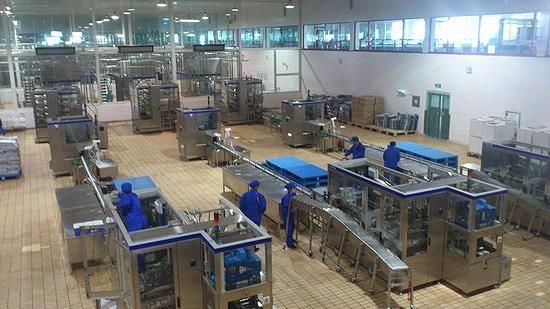 Industrial Size Complete Cheese Processing Plant
