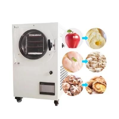 New Arrival Workshop Fd-20 Food Snack Vegetable Meat Seafood Freeze Dryer Machine