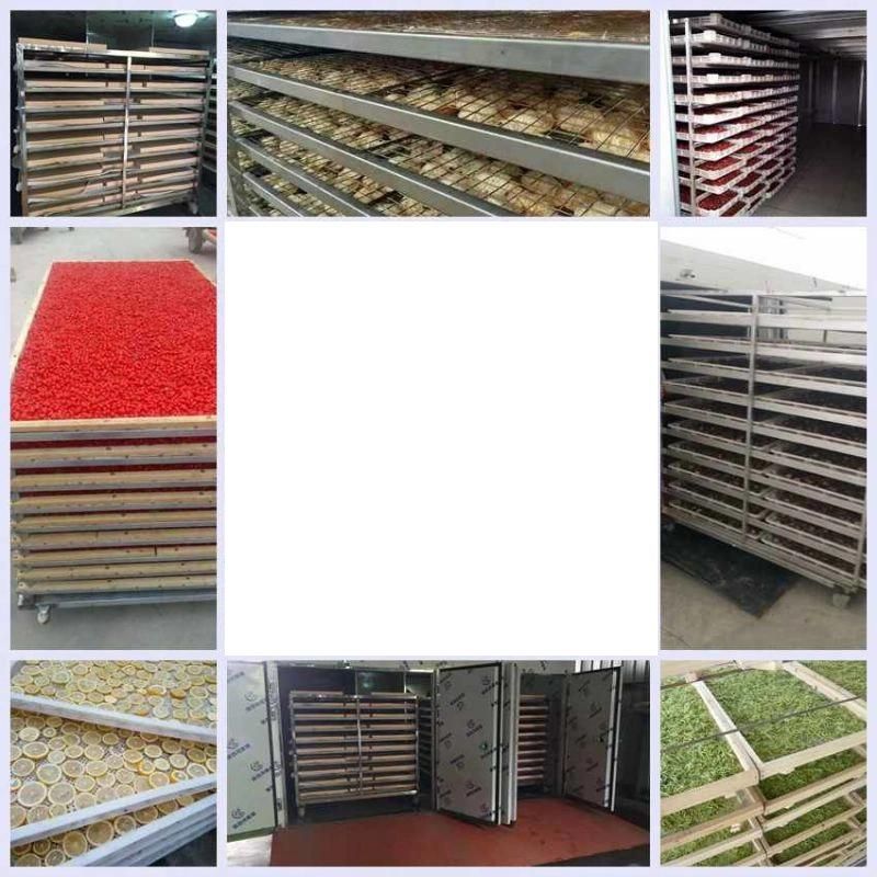 High Quality Dehydrated Garlic Powder Production Machinery Equipment Cheap Price for Sale