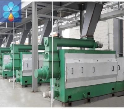 Palm Kernel/Peanut Oil Processing Machine