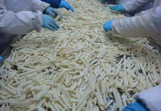 Good Operated Vegetable Freezing Equipment From Jinan