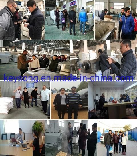 Pet Dog Fish Food Processing Equipment