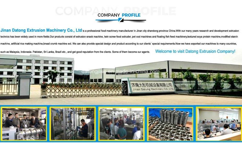 Made in China Stainless Steel Floating Fish Food Fish Feed Plant