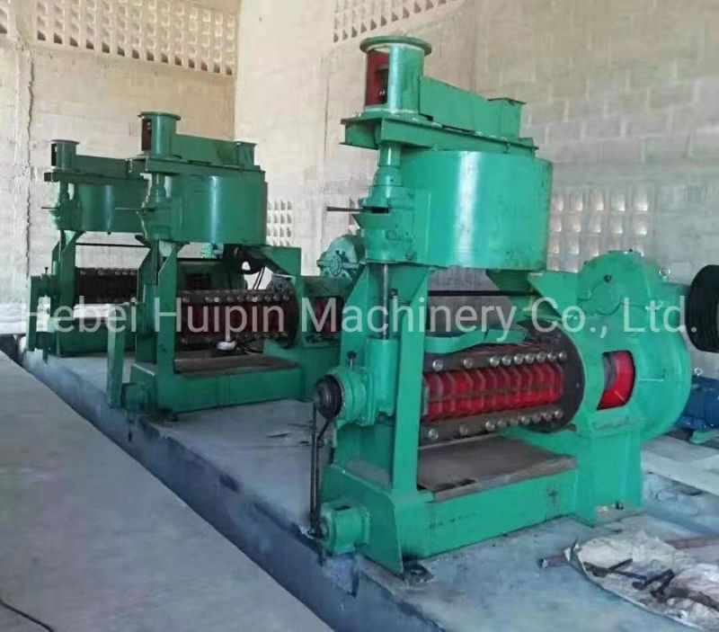 Cottonseed Cold Oil Press Machine Cold Oil Expeller