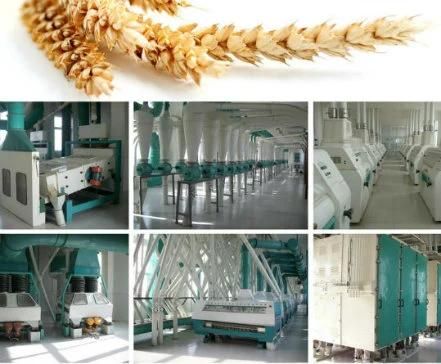 Wheat /Maize Mills Auto Weighing & Packing Scale/Dust Filter
