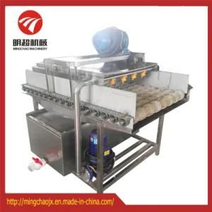 High Spray and Parallel Brush Washing Machine for Vegetable and Fruit