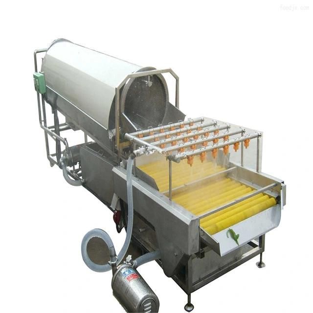 Palm Date Washing Process Machine