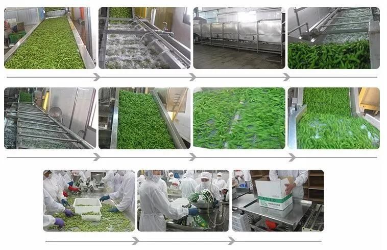 Vegetable Dehydrator Dry Machine Continuous French Fries Cooling Machine